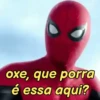 Memes do miranha 15