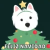 Natal 11