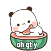 Panda gaje 16