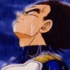 Dragon Ball 14