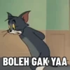 Tom & Jerry Kocak 10