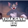 Tom and Jerry 13