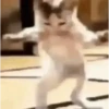 Memes e mais memes 😎 8