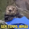 SÓ DEBOCHE NA CAUSA 😋 14