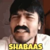 Dhindhora 14