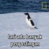 AYANG 9
