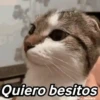 🌈🌈 Mix Gatitos Animados 😻☁️❤️🌈 11