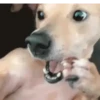 Animated to send 16 9