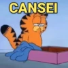 MEMES/REAÇÕES 😂👍 12