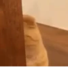 Gatitos Animados Pa Enviar 7