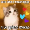 💓🐱Michis Para Tu Amorcito🐱💓 14