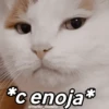 🌈🌈 Mix Gatitos Animados 😻☁️❤️🌈 13