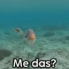 ¿Me das?