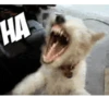 Funny Memes 15