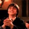 Harry Potter 15