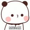 Cutie Panda🐼💓 8
