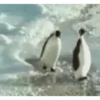 Funny beating 6