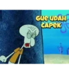 Patrick 12
