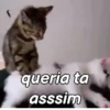 Gatinhos expressivos 😹 15