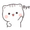 KITTY CHAN 10