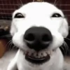 Funny Animated 6