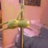 🐸 La Rana René 🐸 20