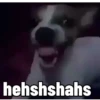 MEMES PRO ZAPZAP 6