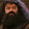 Harry Potter 15