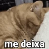 Pack de memes 9
