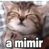 Melhores animadas pra vc 🤭😜 14