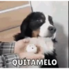 Memes pt. 4 11