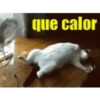 CALOR 🥵 8