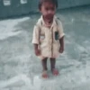 Funny Gif 21