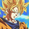 Dragon Ball 11