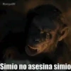 😎Memes Pro Animados💥 12