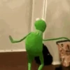 🐸 La Rana René 🐸 23