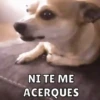 Memes pt. 4 8