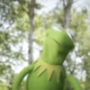 🐸 La Rana René 🐸 21