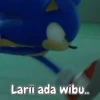 Gif rindim 11