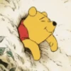 Memes Pooh 🐻🍯 16