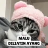 Low quality cat 11