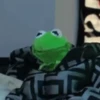 🐸 La Rana René 🐸 27