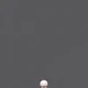 Panda ucul🥵 10