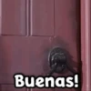 🐸 La Rana René 🐸 4