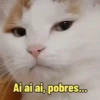Leu e respondeu 10