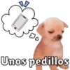 Unos Pedillos 🐶 12