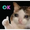 Sad Memes 6
