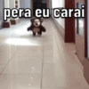 Memes pra varias situaçoes 7