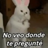 🌈🌈 Mix Gatitos Animados 😻☁️❤️🌈 5