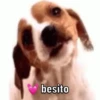 💓✨🥺 Stickers tiernos 🥺✨💓 10